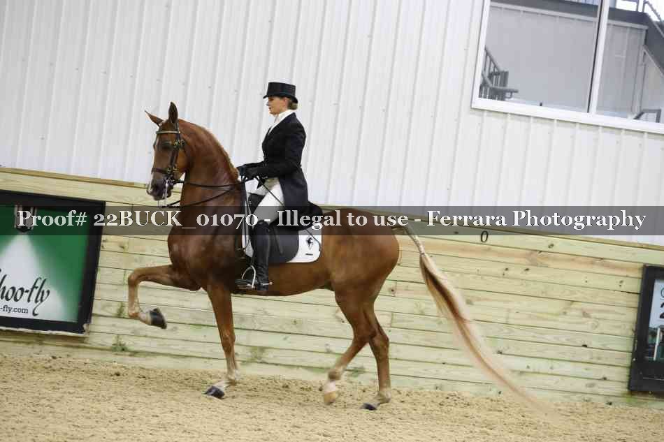 Proof 22BUCK_01070