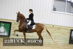 22BUCK_01070 proof