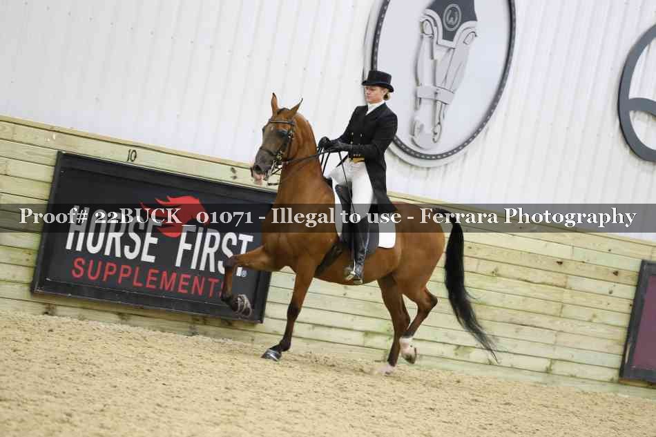 Proof 22BUCK_01071