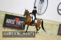 22BUCK_01071 proof