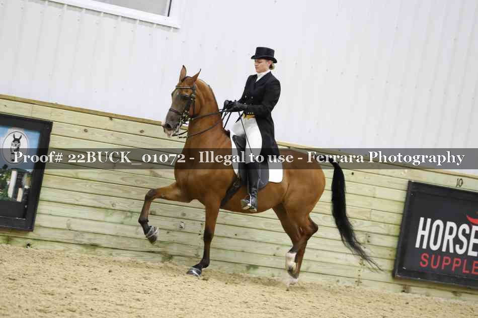 Proof 22BUCK_01072