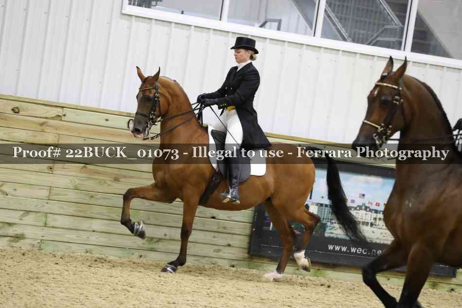 Proof 22BUCK_01073