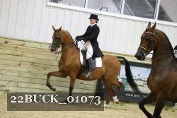 22BUCK_01073 proof