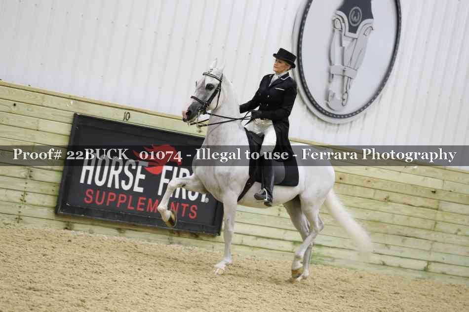 Proof 22BUCK_01074