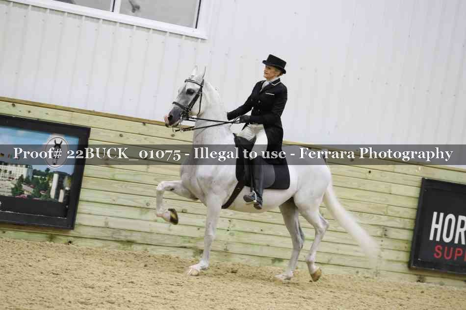 Proof 22BUCK_01075