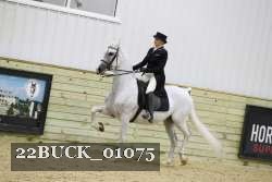 22BUCK_01075 proof