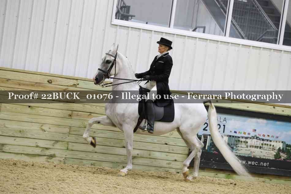 Proof 22BUCK_01076