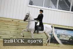 22BUCK_01076 proof