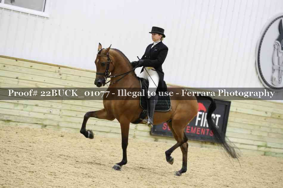 Proof 22BUCK_01077