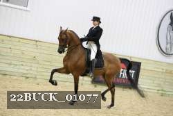 22BUCK_01077 proof