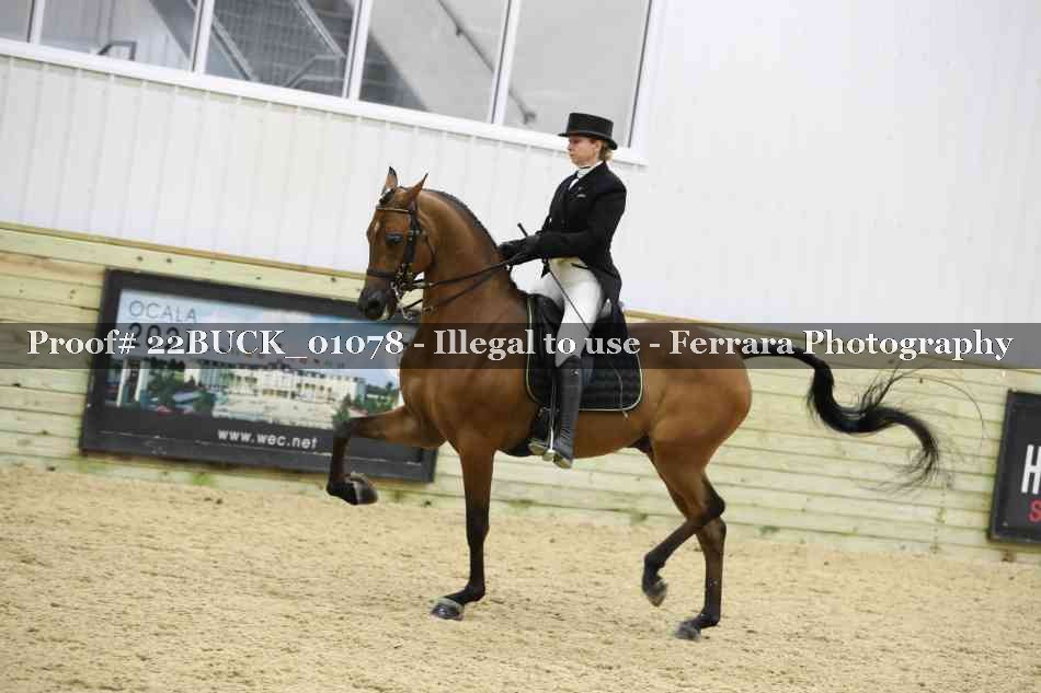 Proof 22BUCK_01078