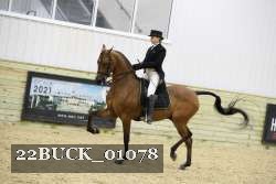 22BUCK_01078 proof