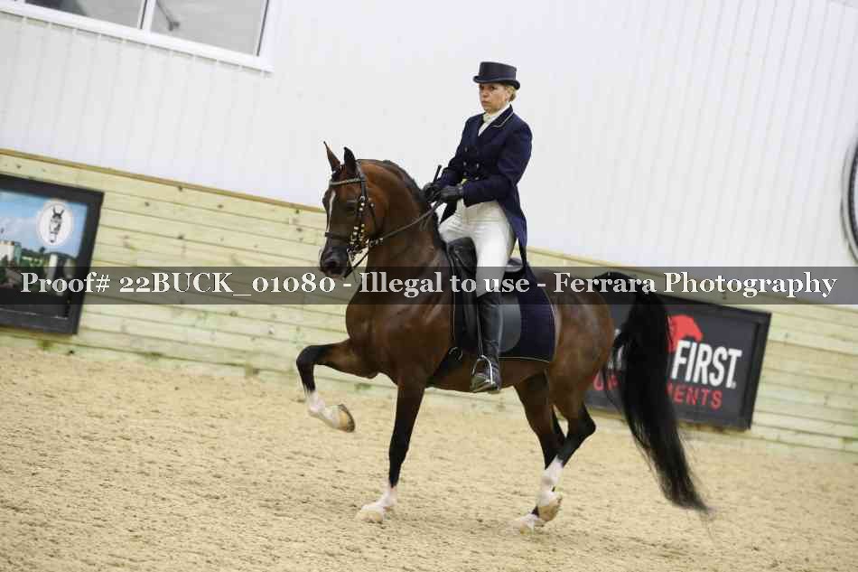 Proof 22BUCK_01080