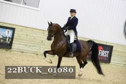 22BUCK_01080 proof