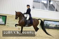 22BUCK_01081 proof
