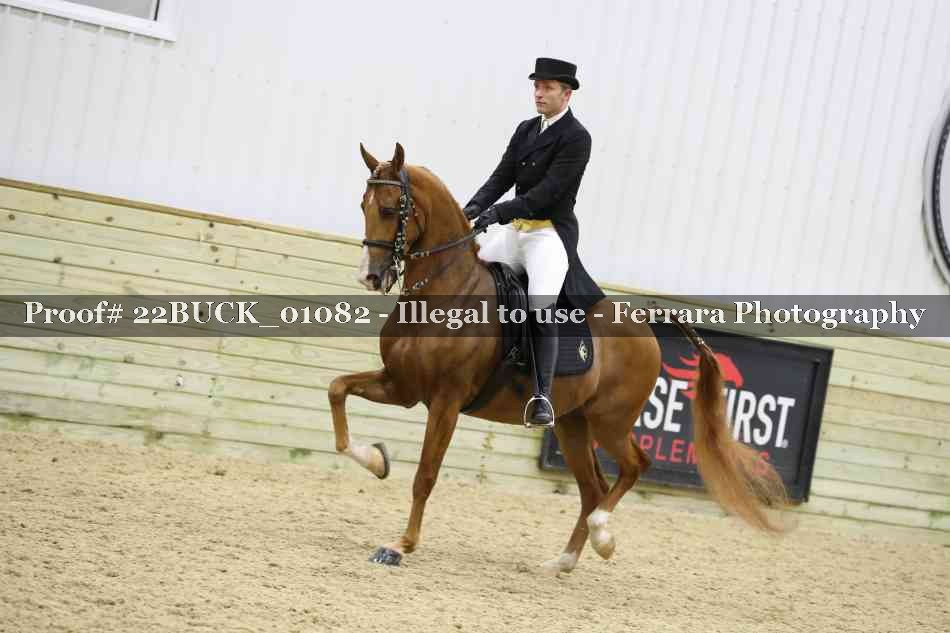 Proof 22BUCK_01082