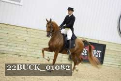 22BUCK_01082 proof