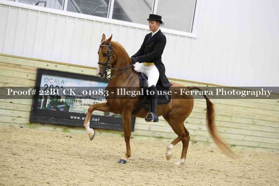 Proof 22BUCK_01083