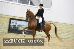 22BUCK_01083 proof