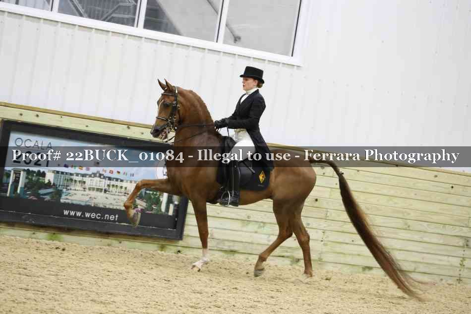 Proof 22BUCK_01084