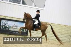 22BUCK_01084 proof
