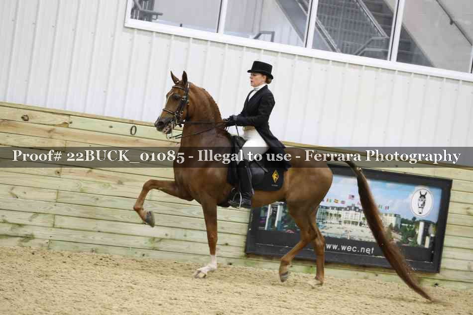 Proof 22BUCK_01085