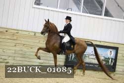 22BUCK_01085 proof