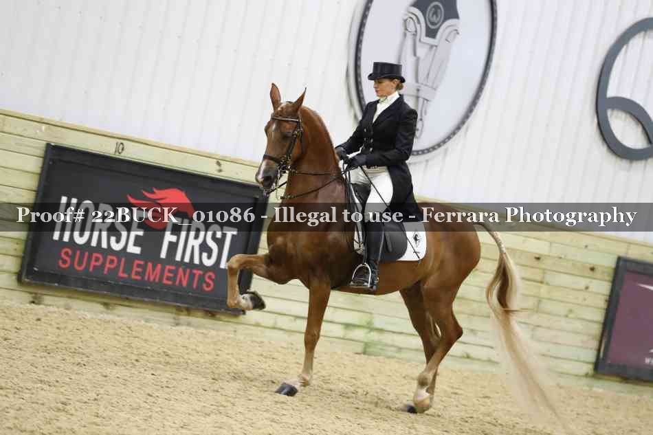 Proof 22BUCK_01086