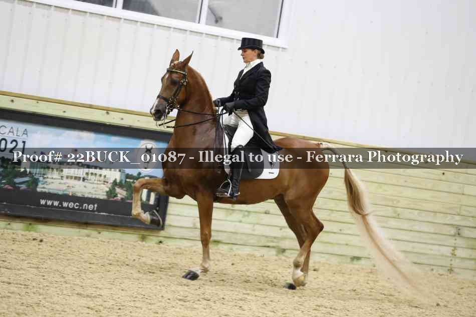Proof 22BUCK_01087