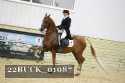 22BUCK_01087 proof