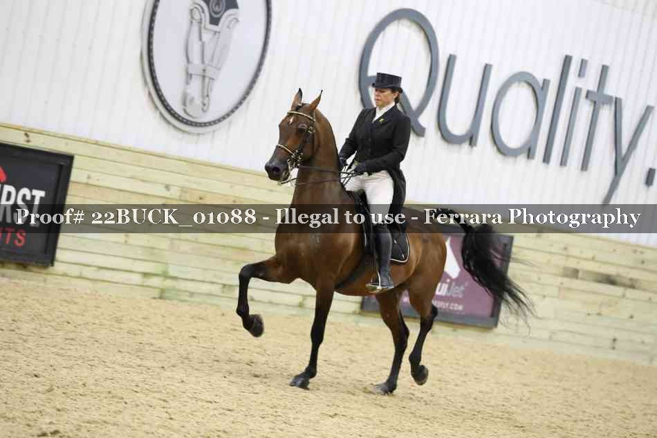 Proof 22BUCK_01088