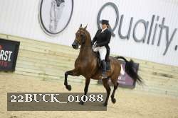 22BUCK_01088 proof