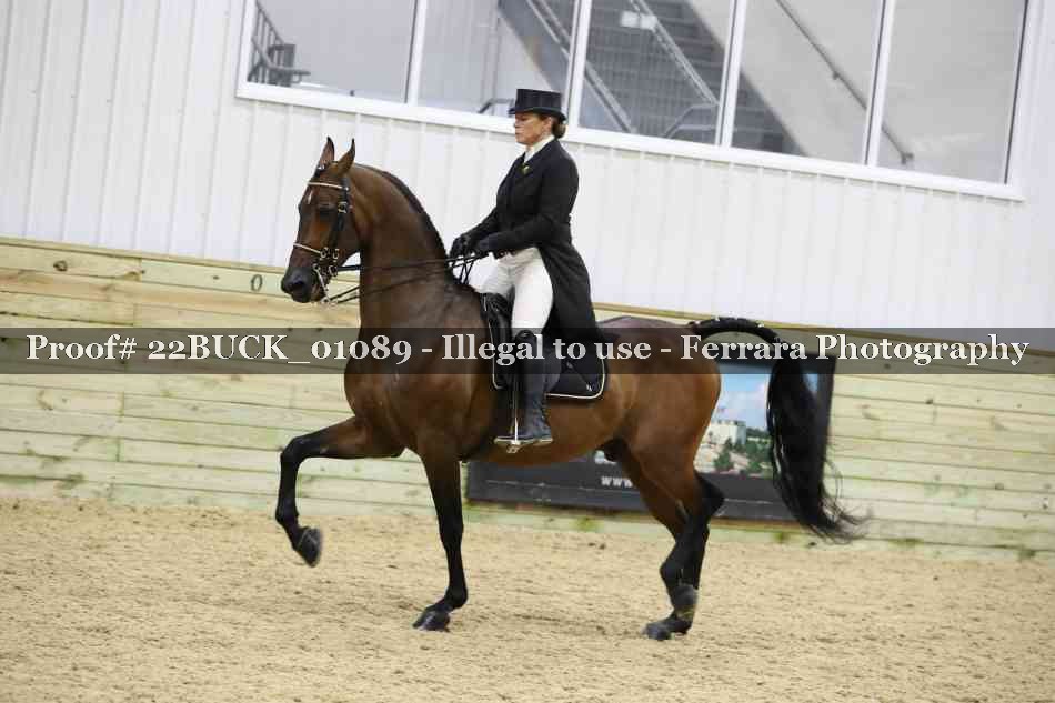 Proof 22BUCK_01089
