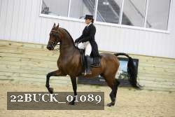 22BUCK_01089 proof