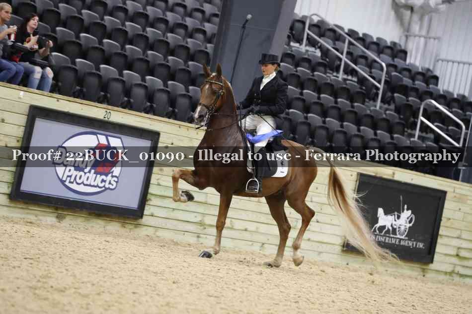 Proof 22BUCK_01090
