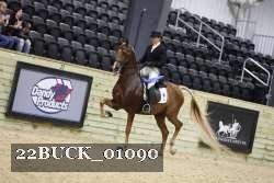 22BUCK_01090 proof