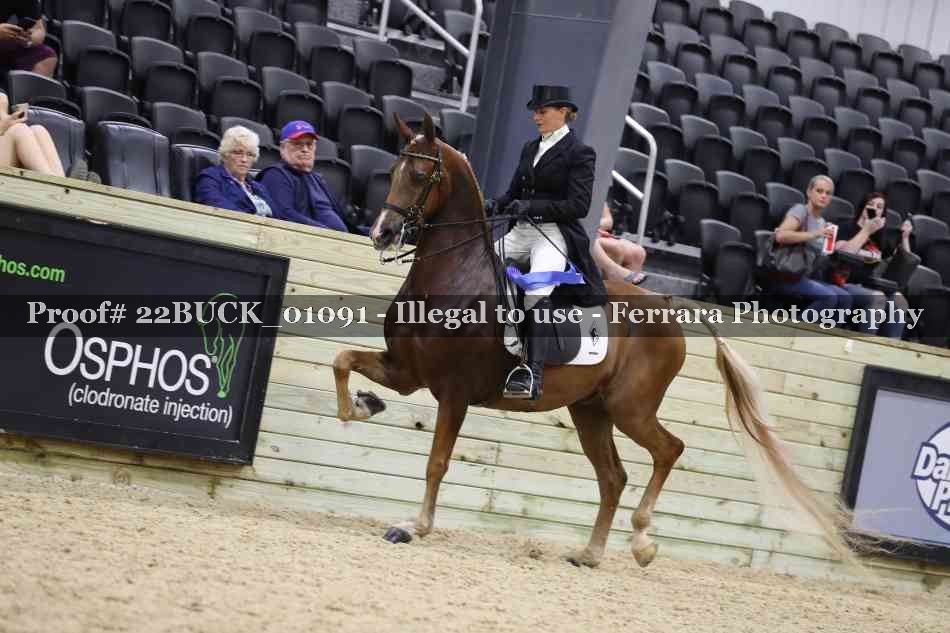 Proof 22BUCK_01091