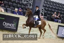 22BUCK_01091 proof