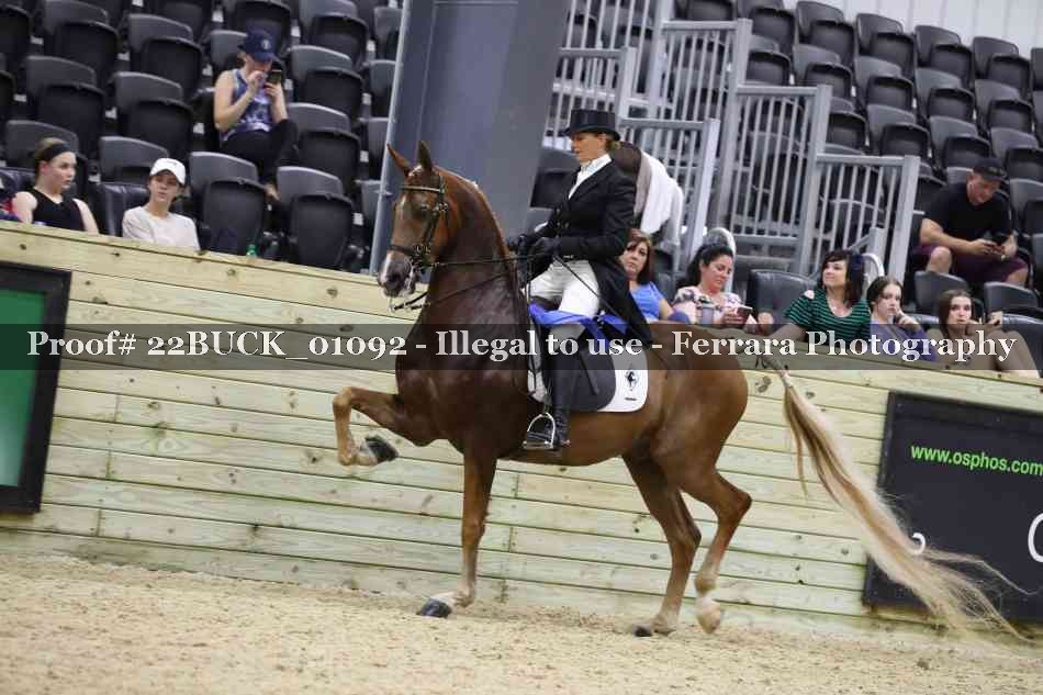 Proof 22BUCK_01092