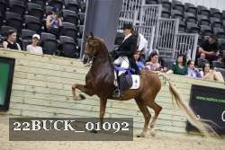 22BUCK_01092 proof