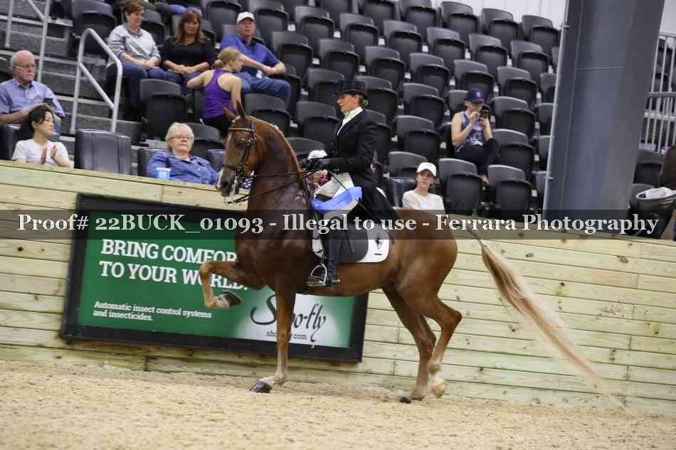Proof 22BUCK_01093