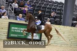 22BUCK_01093 proof