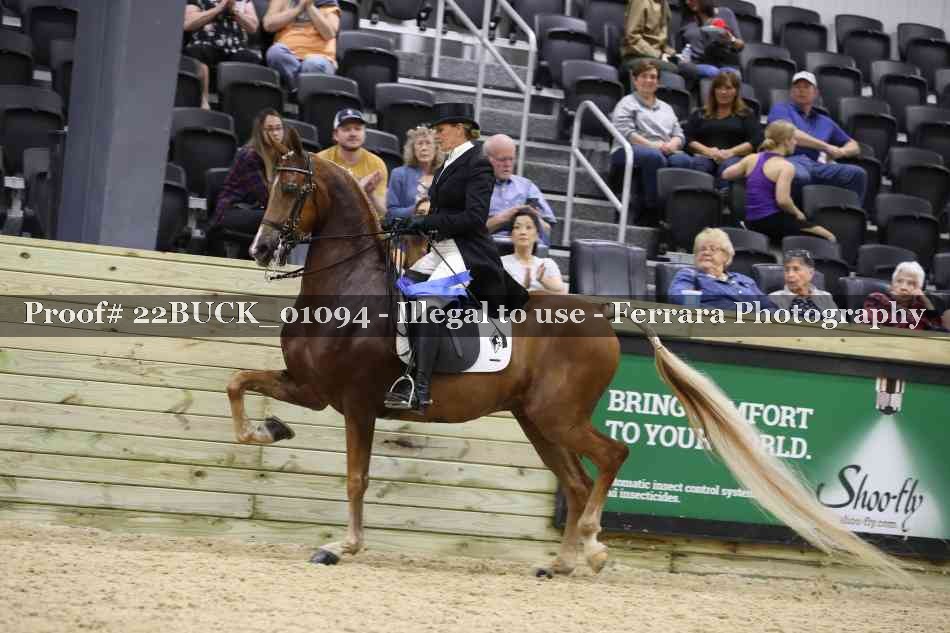 Proof 22BUCK_01094