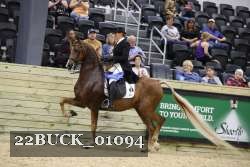 22BUCK_01094 proof