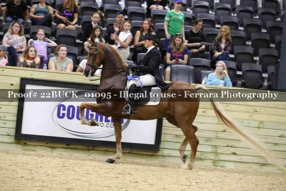 Proof 22BUCK_01095