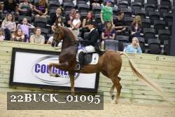 22BUCK_01095 proof
