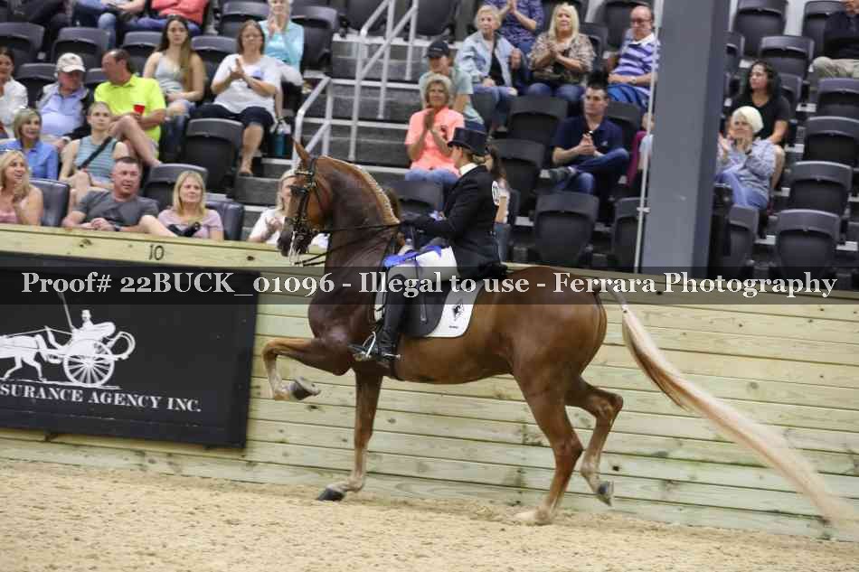 Proof 22BUCK_01096