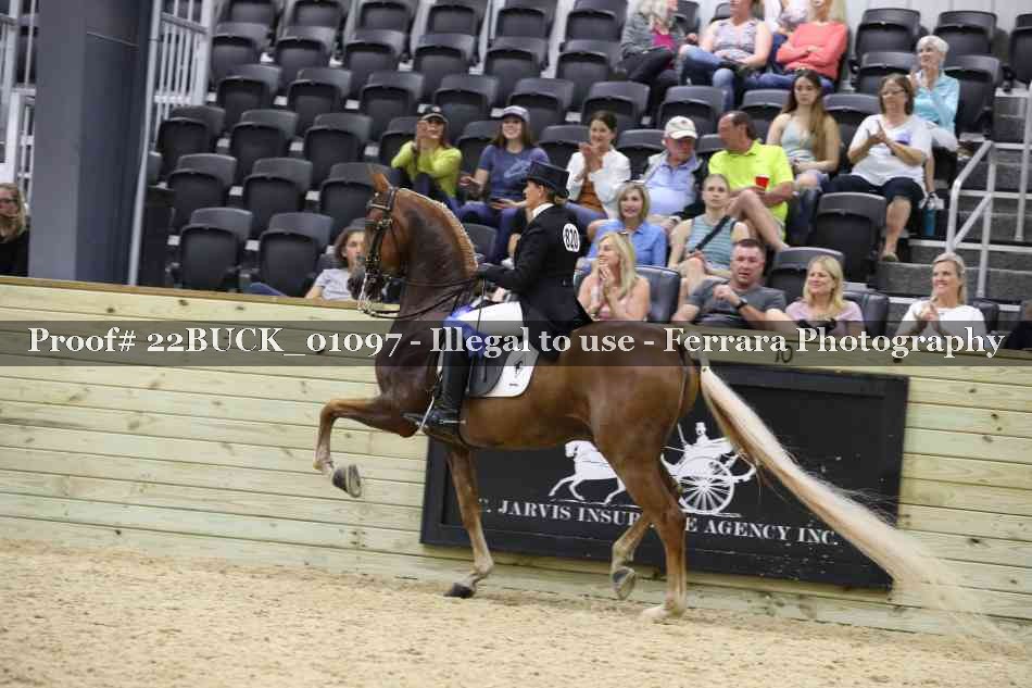 Proof 22BUCK_01097