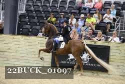 22BUCK_01097 proof