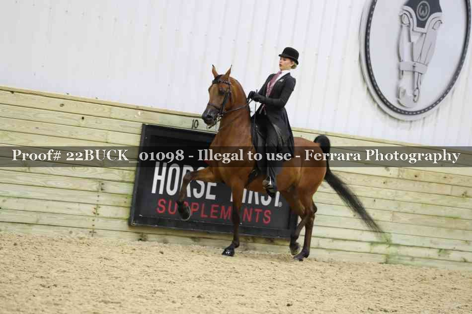 Proof 22BUCK_01098